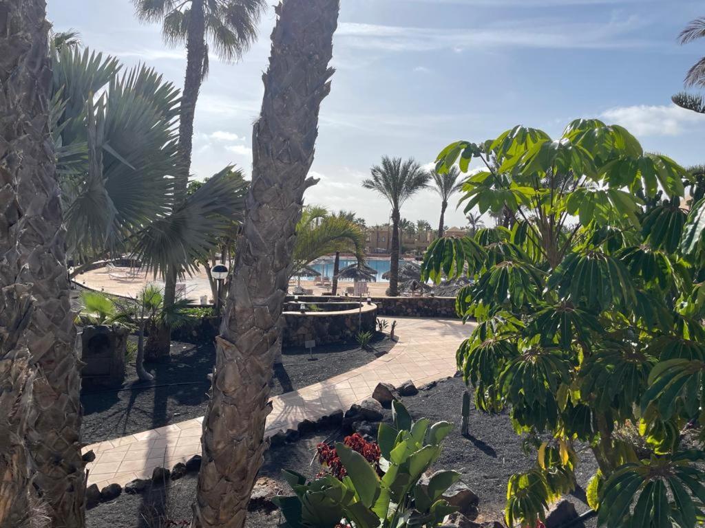 Casa Mari Y Jose Con Grandes Piscinas Y Wifi Gratis Corralejo Exterior foto